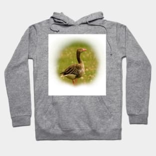 Wild goose Hoodie